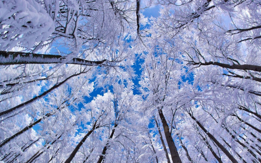 589778 (a): :1920x1200